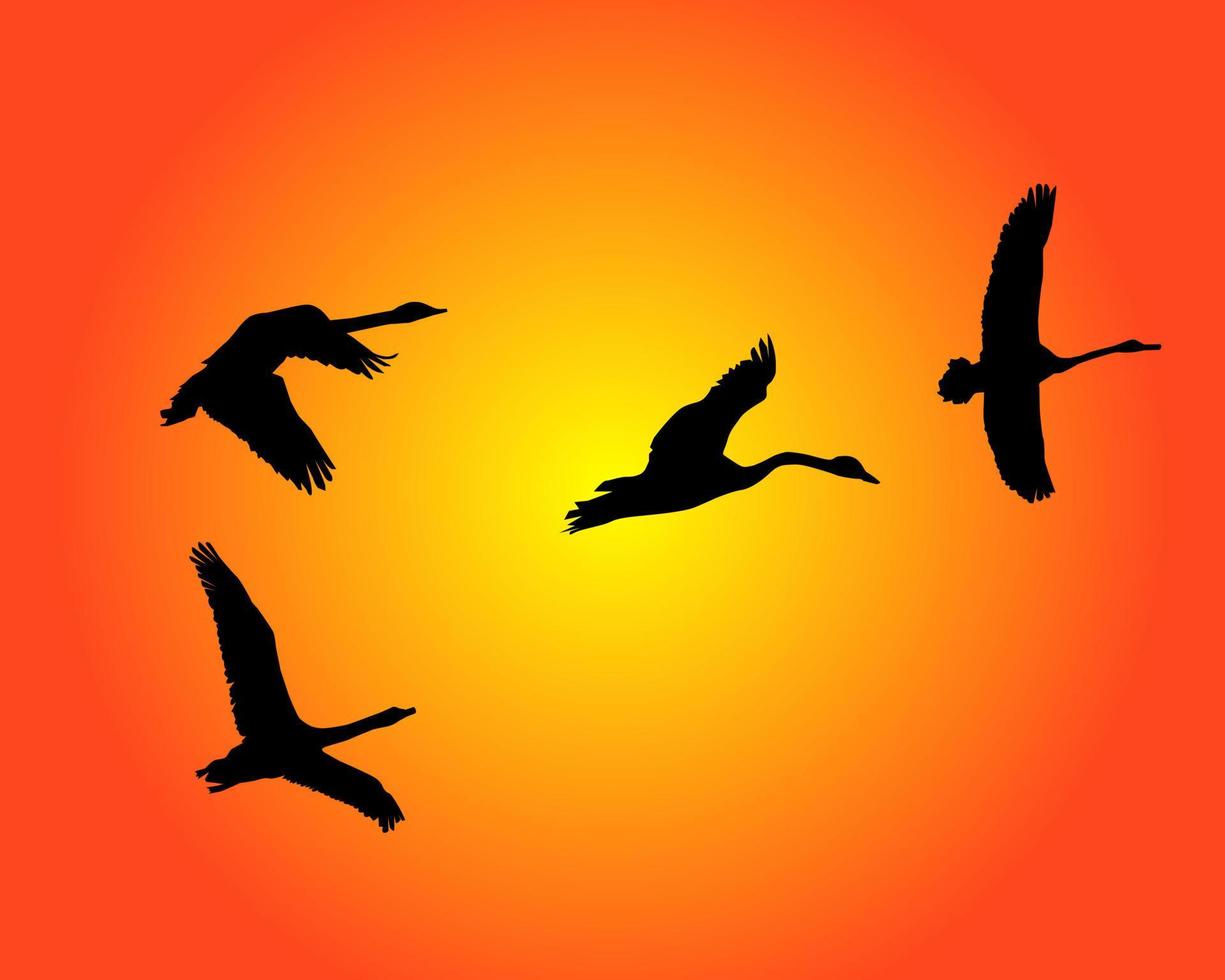 Silhouettes of group of flying swans on an orange background vector