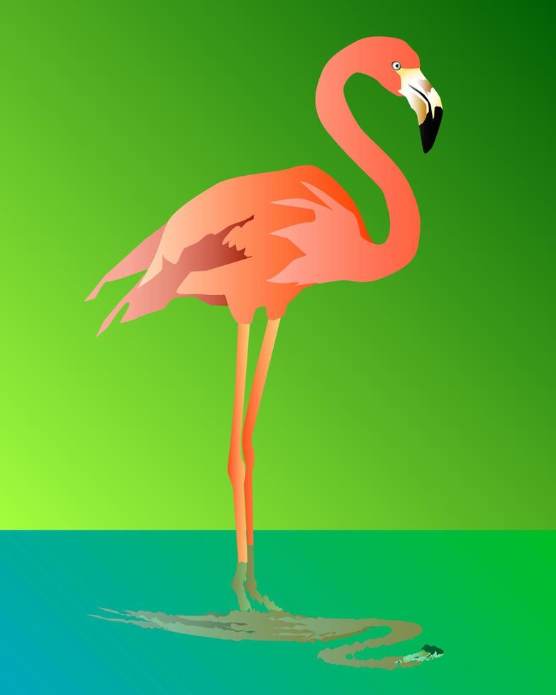 Pink flamingo on a green background standing in water vector