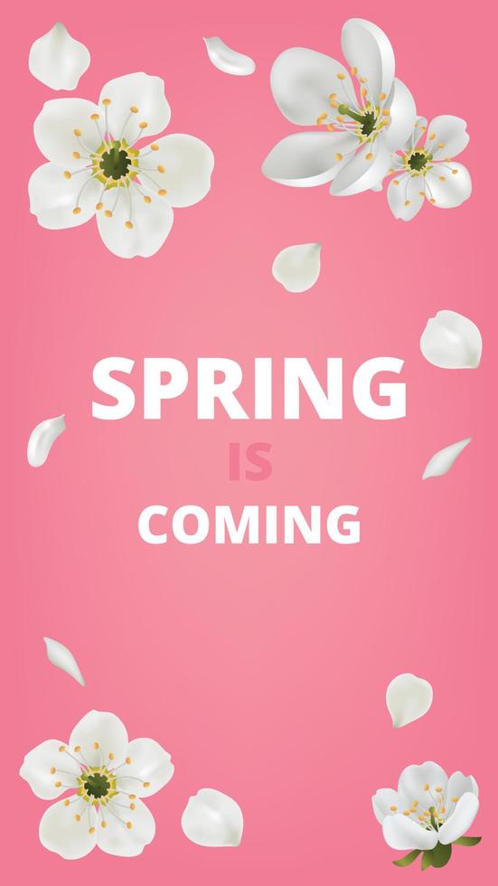 Stories Instagram. Vector greeting card template with flowers blossoms. Cherry flower spring is coming banner on the light pink background
