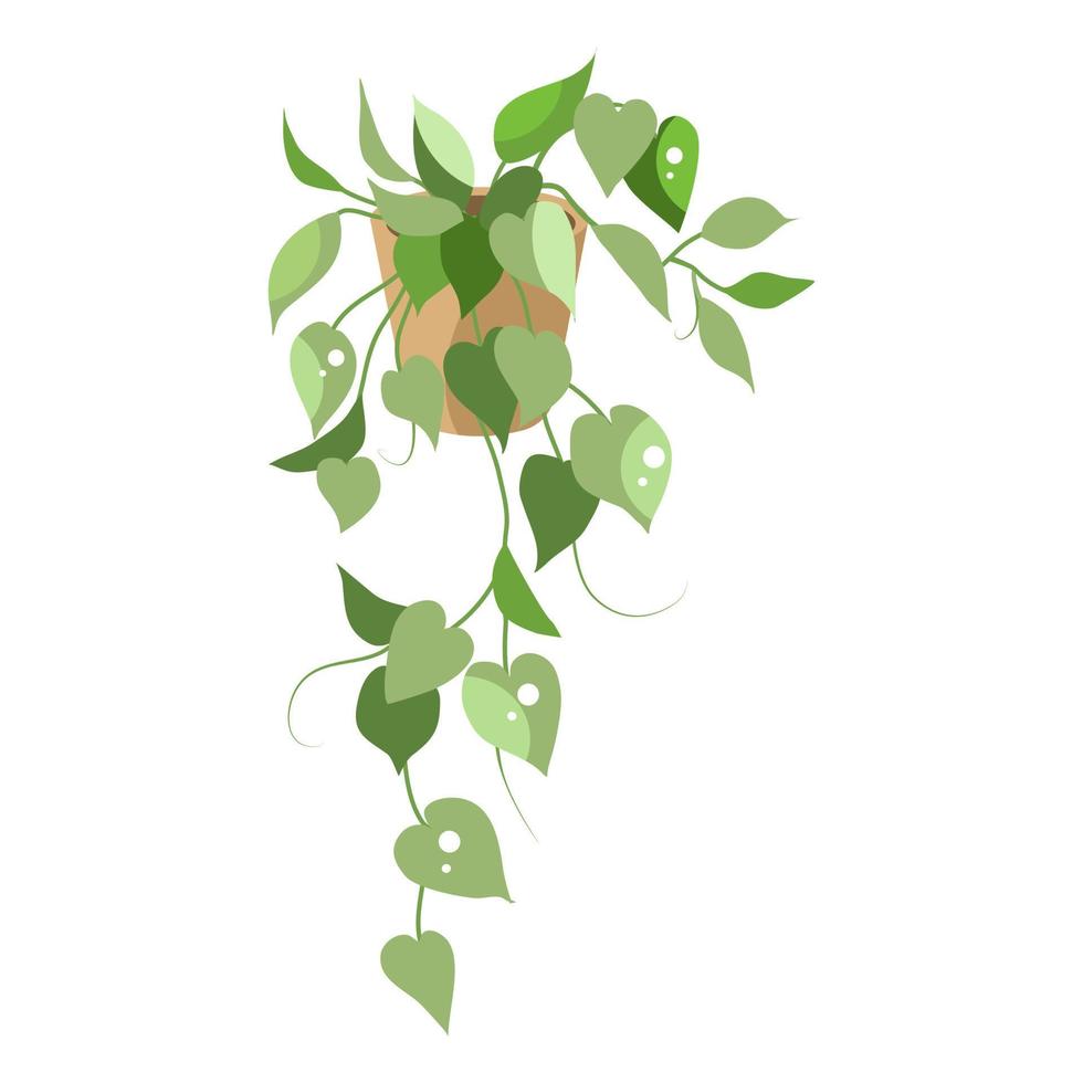 House plant on pottery vector. vector