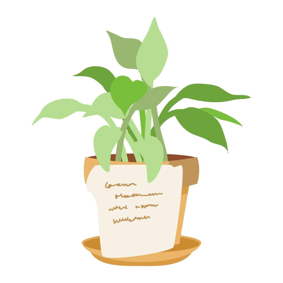 House plant on pottery in door. vector