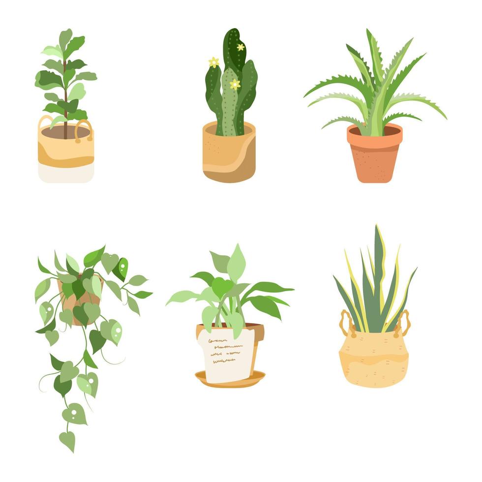 Set of house plant. vector