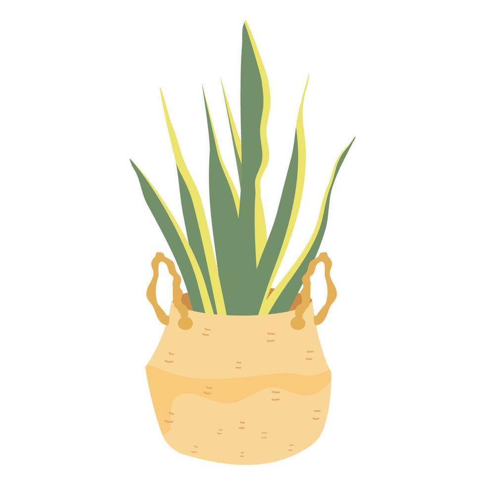 House plant on pottery vector house tree.