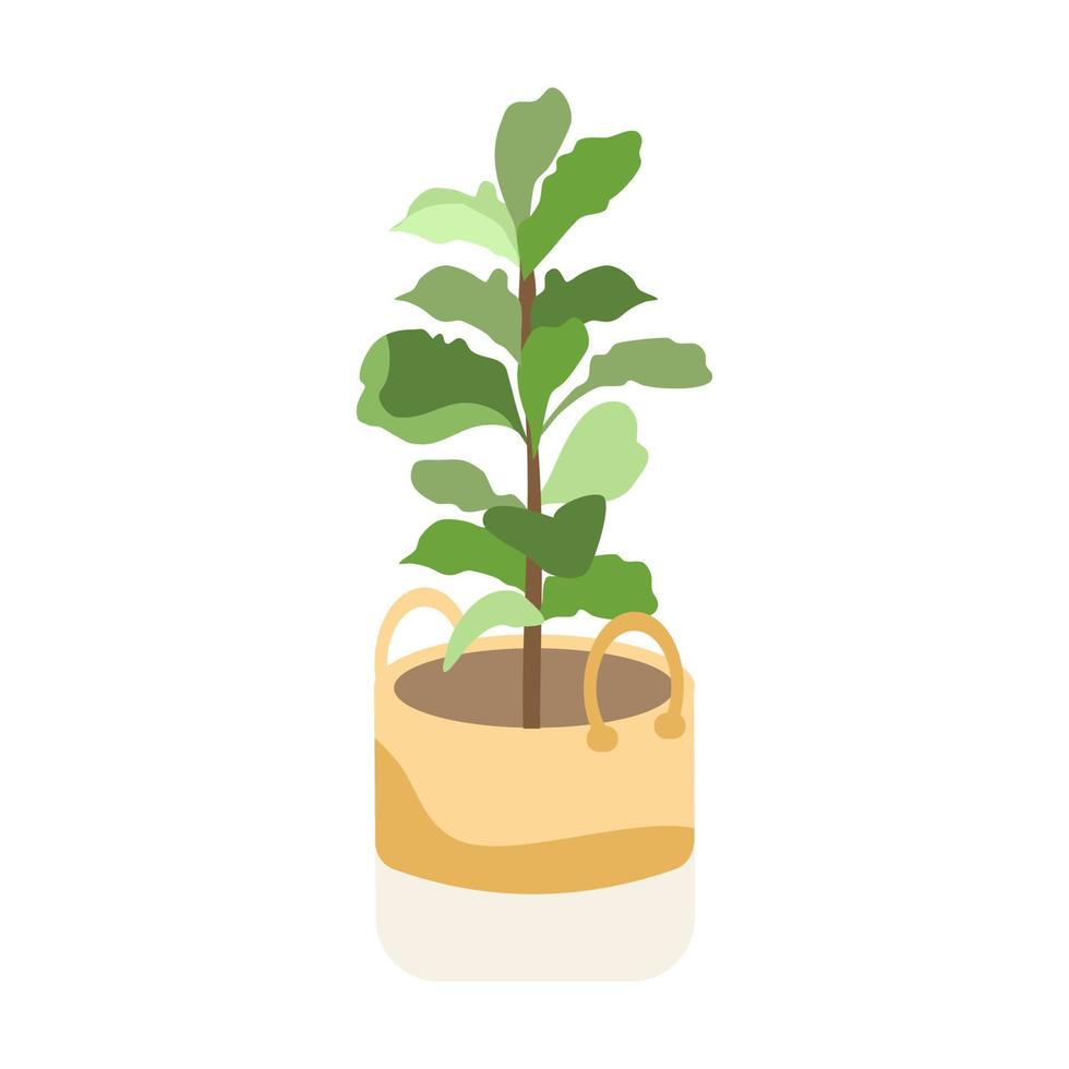 House plant on pottery vector house tree.