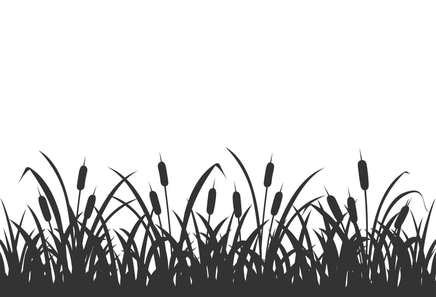 Dark silhouette of marsh grass with reeds. Background with marsh vegetation on white. vector