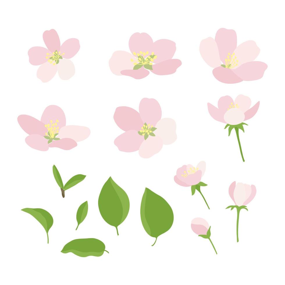 Set of tree blooming flowers and leaves vector