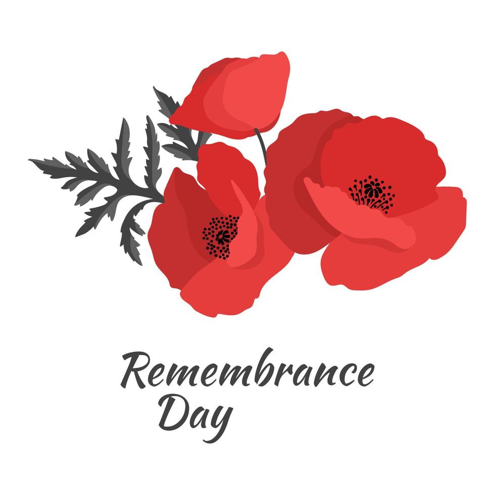 Remembrance day illustration with poppy flowers vector