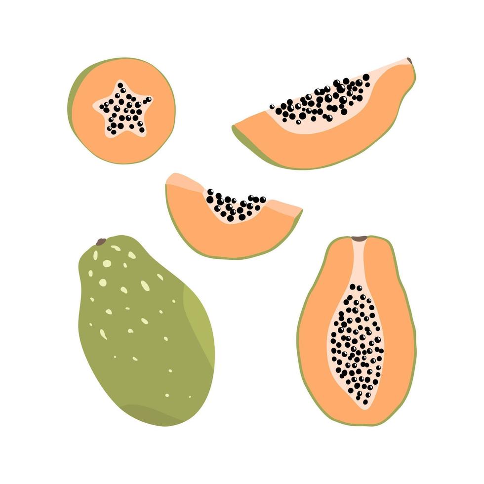 conjunto de elementos de papaya dibujados a mano en diferentes formas. ilustración de frutas exóticas vector