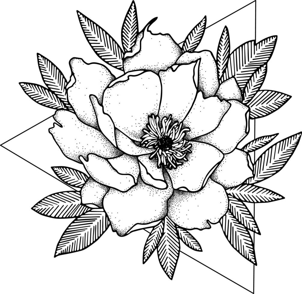 Camellia. Doodle Flower Illustration. Tattoo Sketch. vector