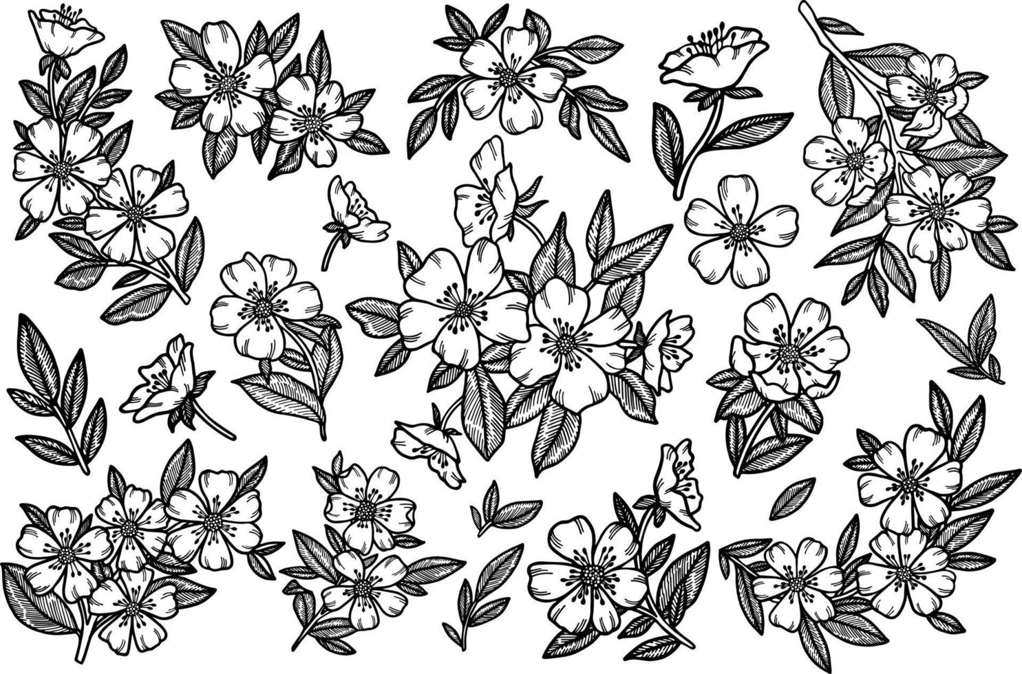 Line art spring flower illustration vector