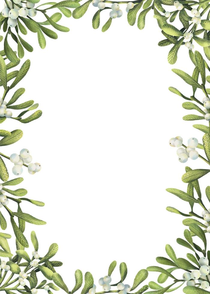 marco de acuarela de plantas navideñas. borde floral pintado a mano con ramas de muérdago blanco aisladas sobre fondo blanco. vector
