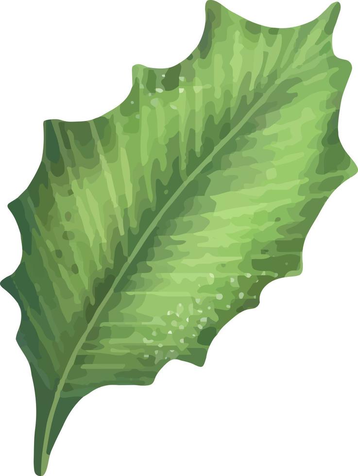 Green tropical palm leaf. Tropical plant. Hand painted watercolor illustration isolated on white. vector