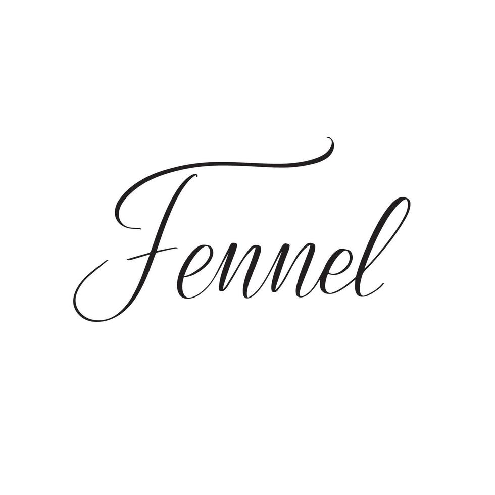 Inspirational handwritten brush lettering fennel. Vector calligraphy illustration isolated on white background. Typography for banners, badges, postcard, tshirt, prints, posters.