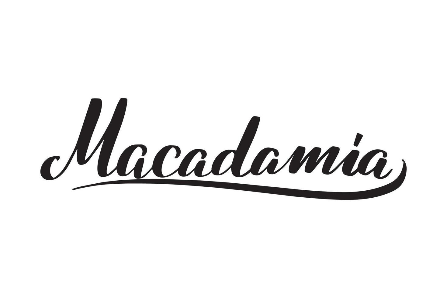 Inspirational handwritten brush lettering Macadamia. Vector calligraphy illustration isolated on white background. Typography for banners, badges, postcard, tshirt, prints, posters.