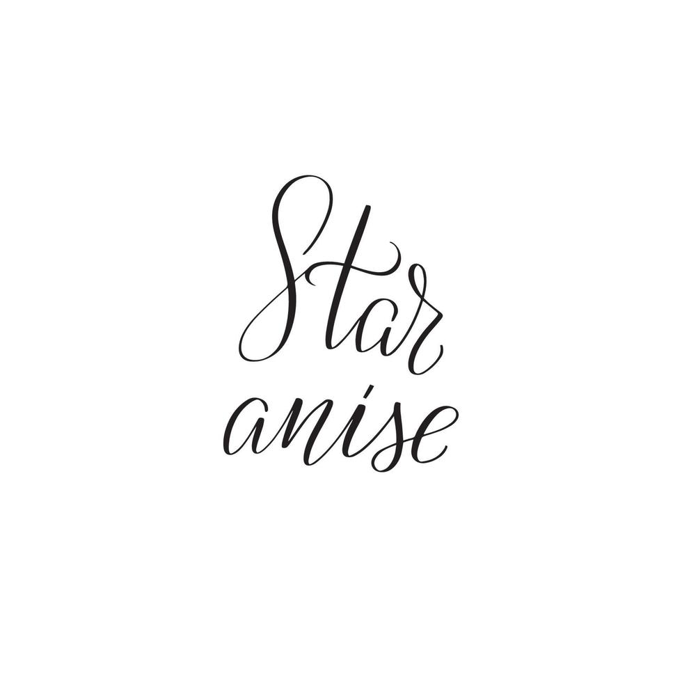 Inspirational handwritten brush lettering star anise. Vector calligraphy illustration isolated on white background. Typography for banners, badges, postcard, tshirt, prints, posters.