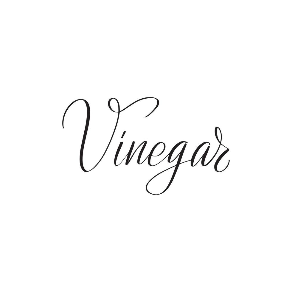 Inspirational handwritten brush lettering vinegar. Vector calligraphy illustration isolated on white background. Typography for banners, badges, postcard, tshirt, prints, posters.