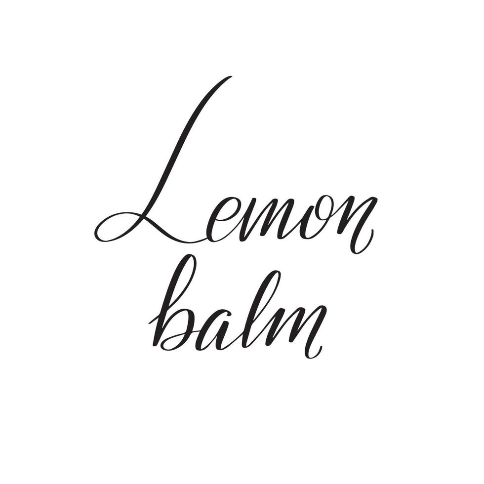 Inspirational handwritten brush lettering lemon balm. Vector calligraphy illustration isolated on white background. Typography for banners, badges, postcard, tshirt, prints, posters.