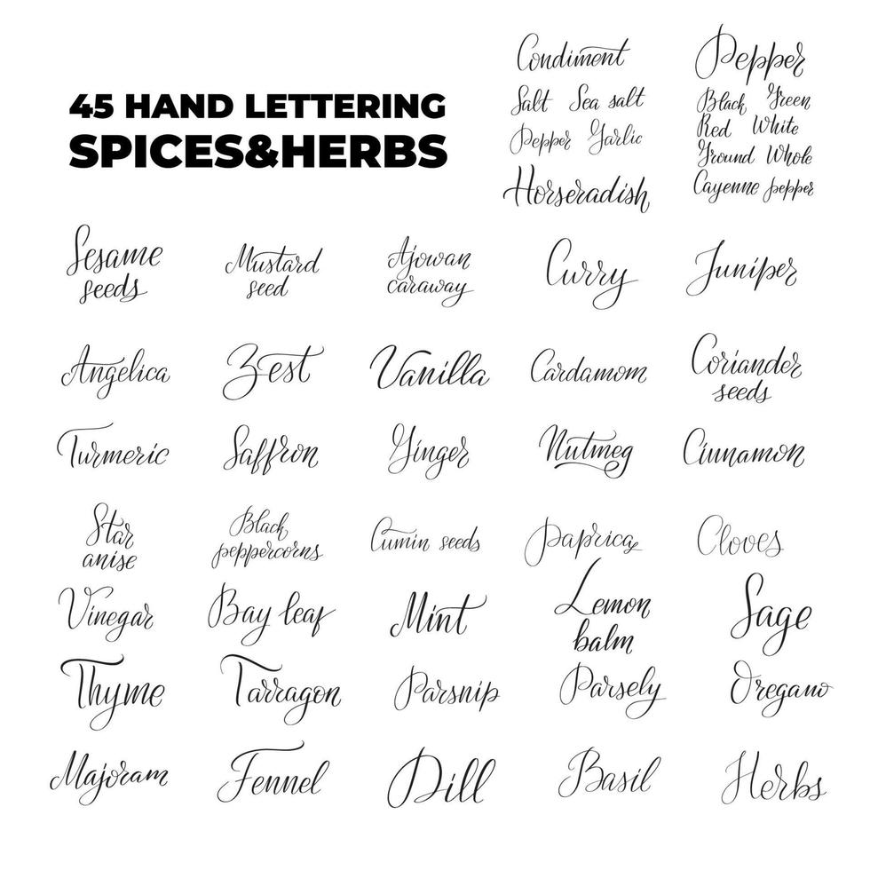 conjunto de nombres de letras de especias y hierbas. Letras de pincel escritas a mano inspiradoras. ilustración de stock de caligrafía vectorial aislada en blanco. tipografía para pancartas, insignias, postales, camisetas, estampados. vector