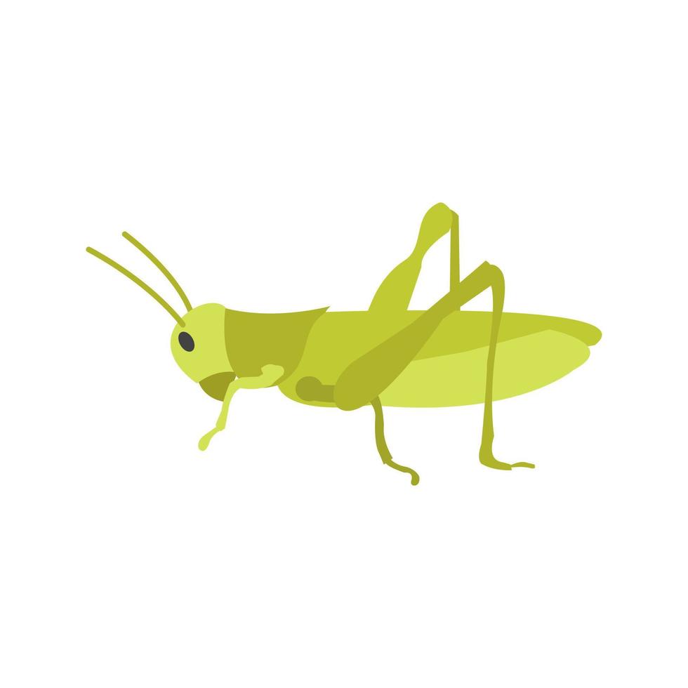 saltamontes plano icono multicolor vector