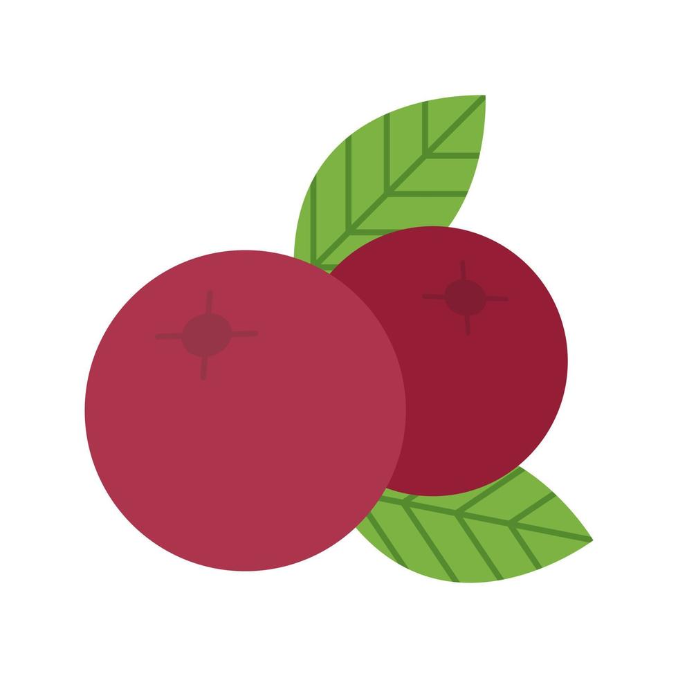 Cranberries Flat Multicolor Icon vector