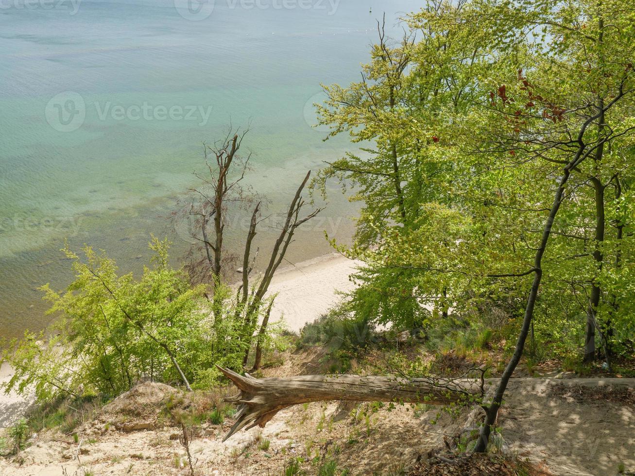 Beach at the baltic sea in poland photo