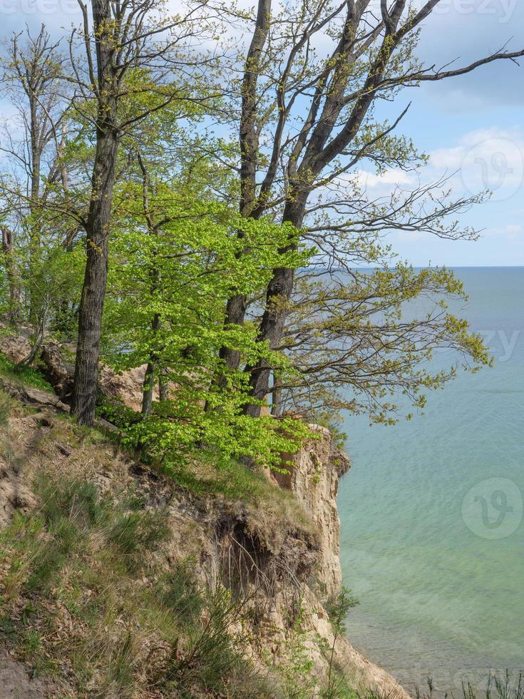 at the baltic sea in poland photo