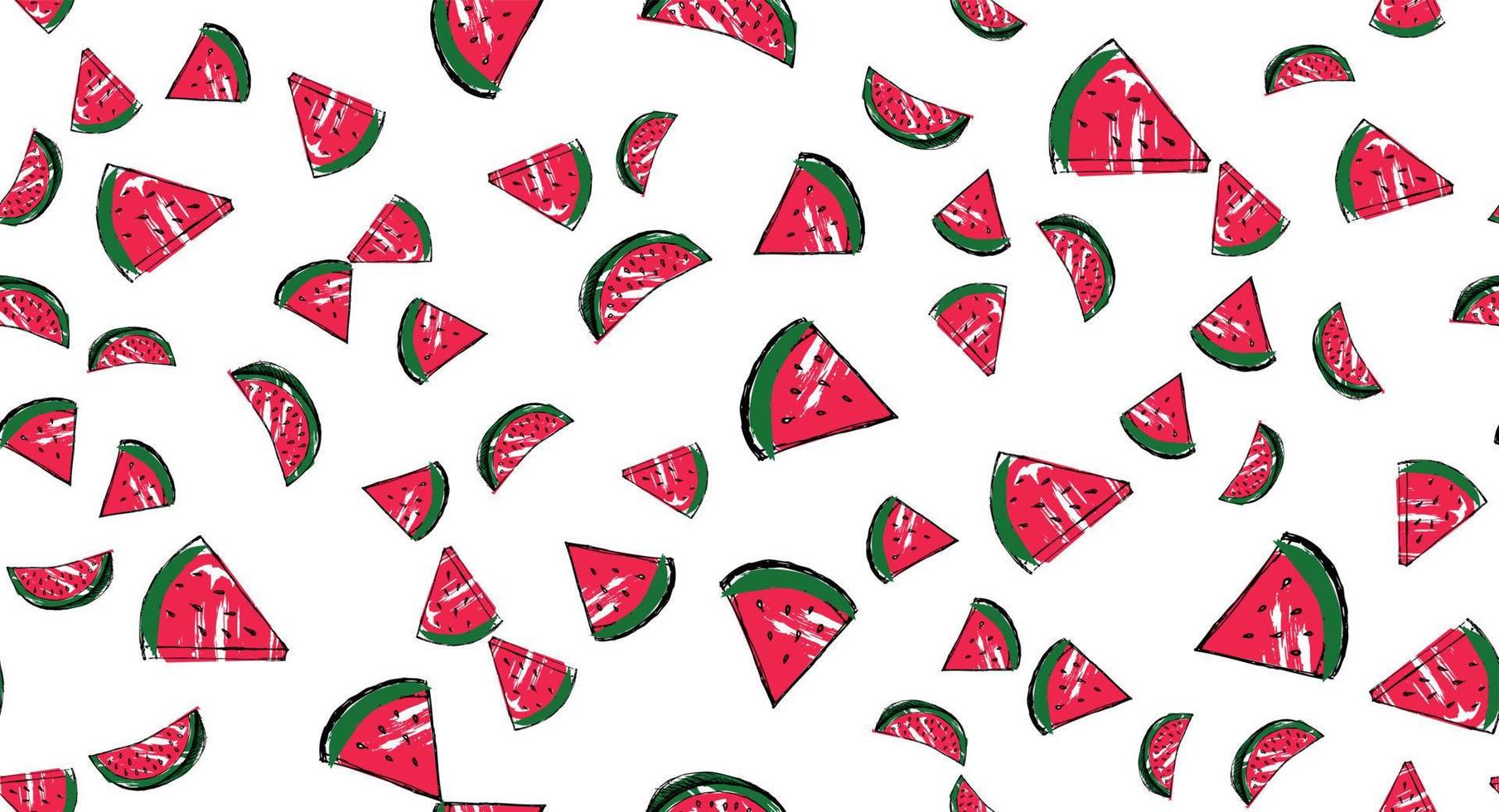 Watermelon hand drawn illustrations, vector. vector