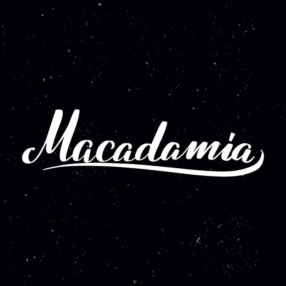 Chalkboard blackboard lettering macadamia. Handwritten calligraphy text, chalk on a blackboard, vector illustration. Greetings for logotype, badge, icon.