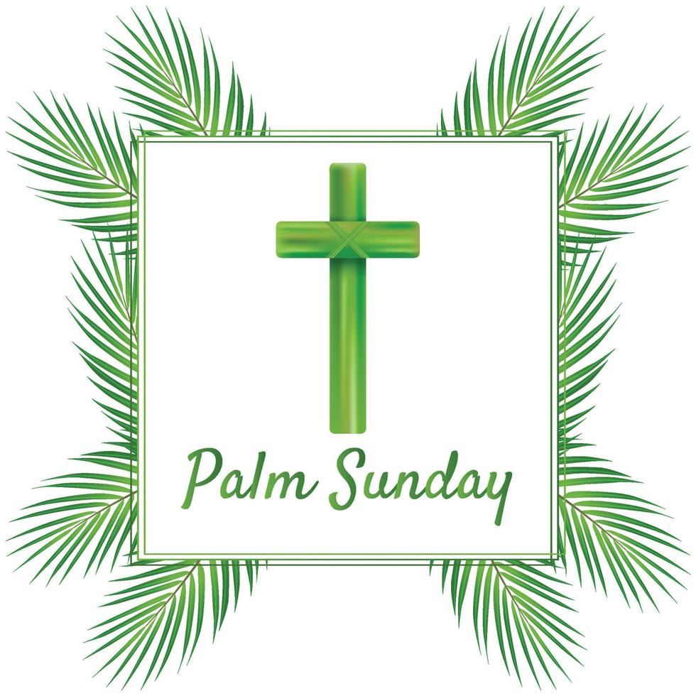 Palm Sunday cross and front white background, Green Palm leaves vector icon. Vector illustration for the Christian holiday. Palm Sunday handwritten phrase. Calligraphy quote on white background