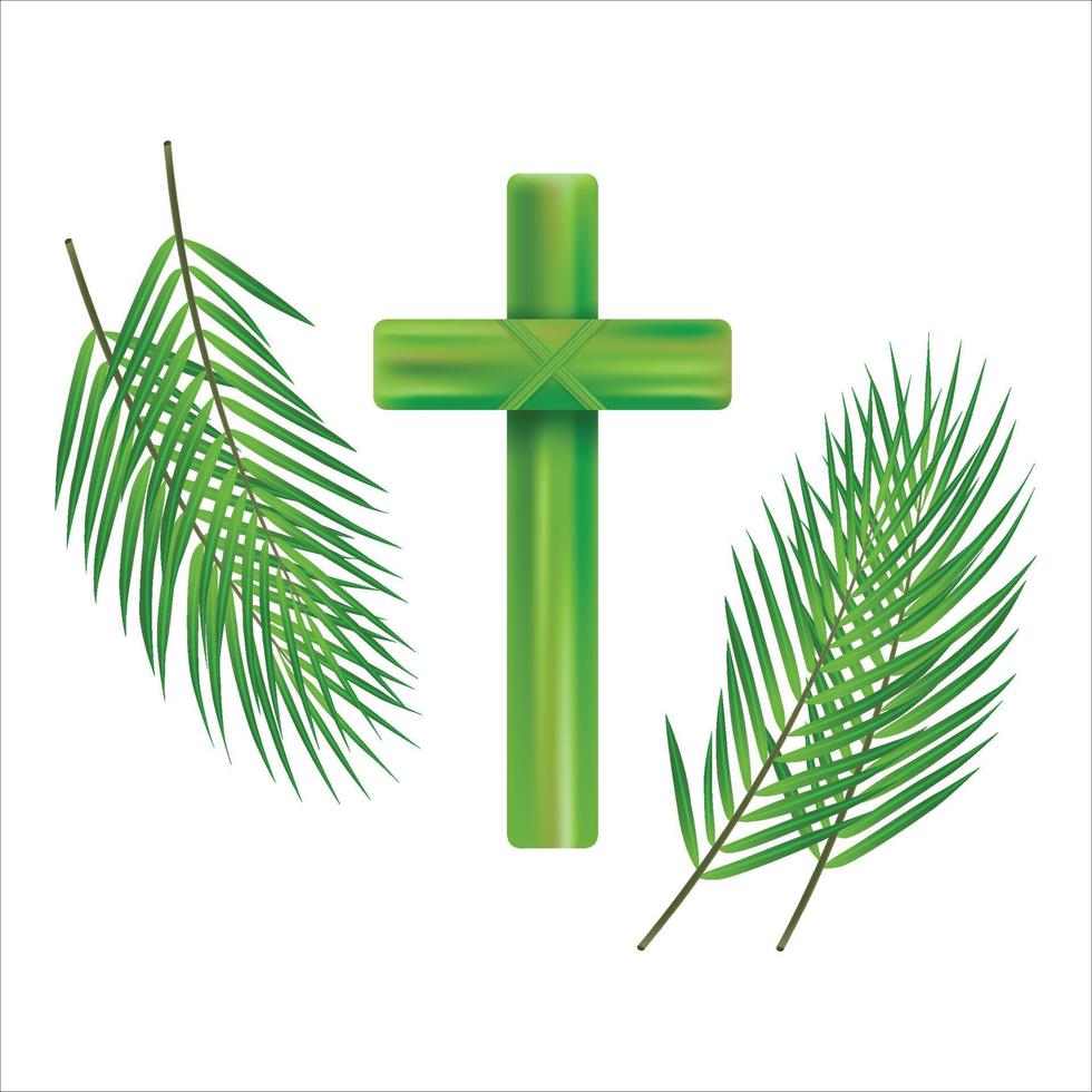 cruz de domingo de palma y fondo blanco frontal, icono de vector de hojas de palma verde. ilustración vectorial para la festividad cristiana. frase manuscrita del domingo de ramos. cita de caligrafía sobre fondo blanco