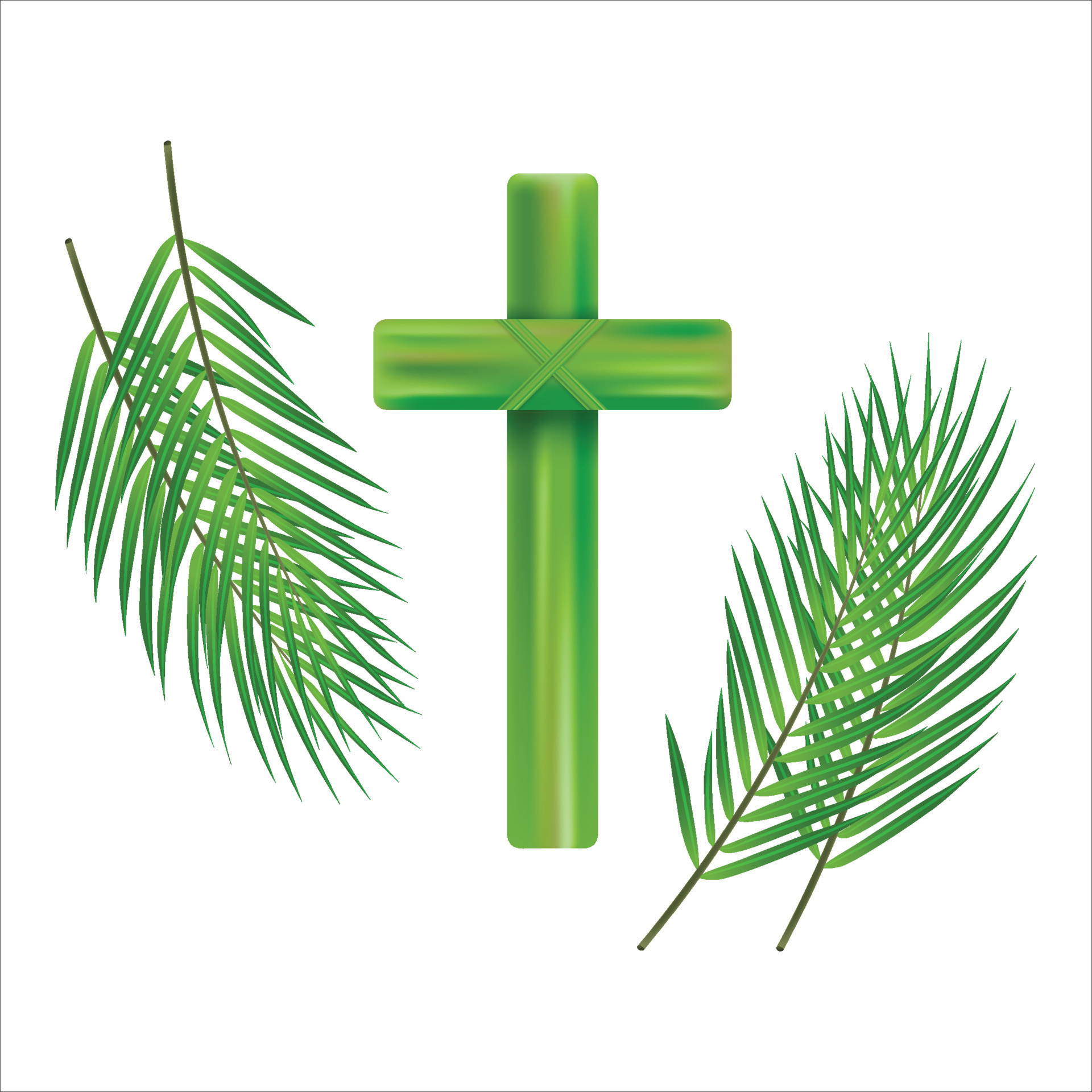 Palm Sunday Cross And Front White Background Green Palm Leaves Vector