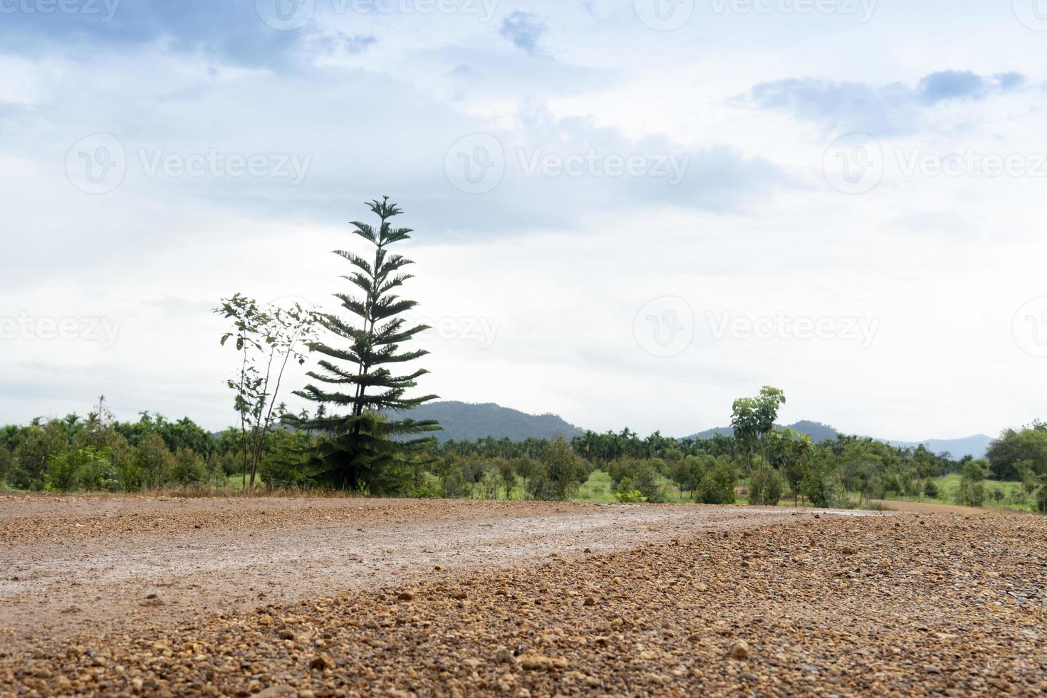 Road of soil with gravel on the side of the road and wet. Green trees and mountain under blue sky with white clouds for background. photo