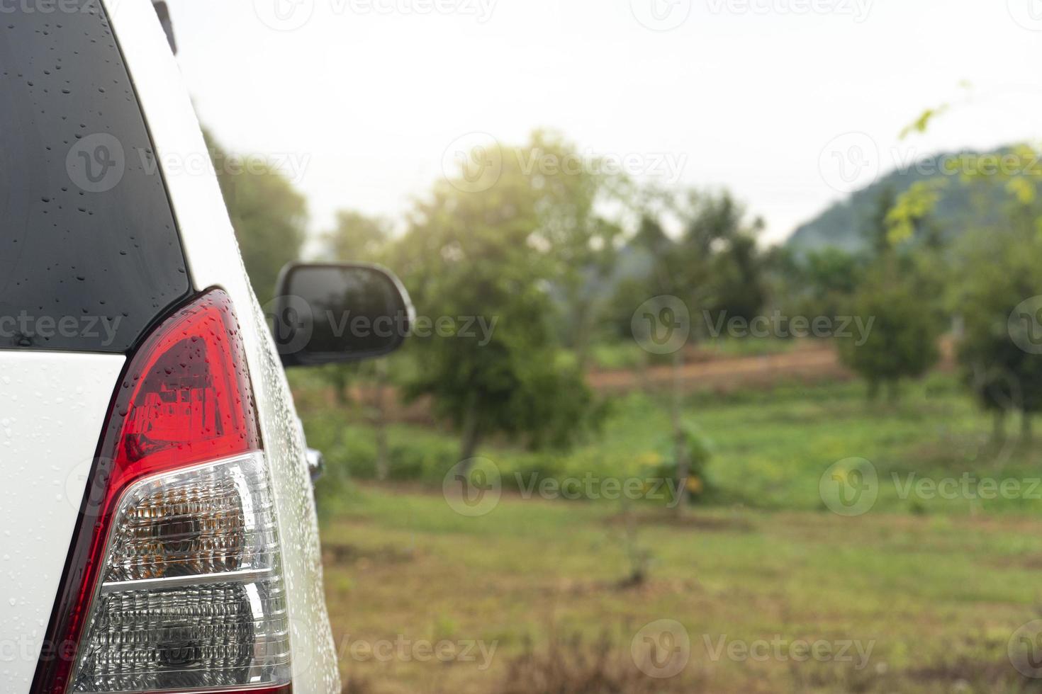 Rear side of white car stop or parking on body with drop of rain. With background of green grass and trees in the gardent. Traveling in the natural areas of the provinces. moisture after rain. photo