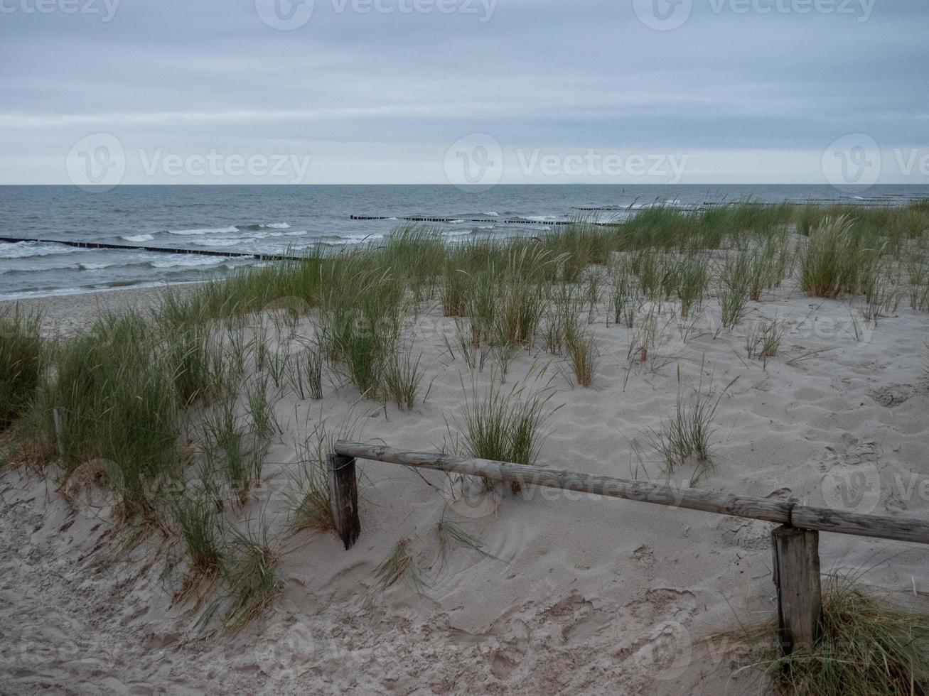 Zingst at the baltic sea in germany photo