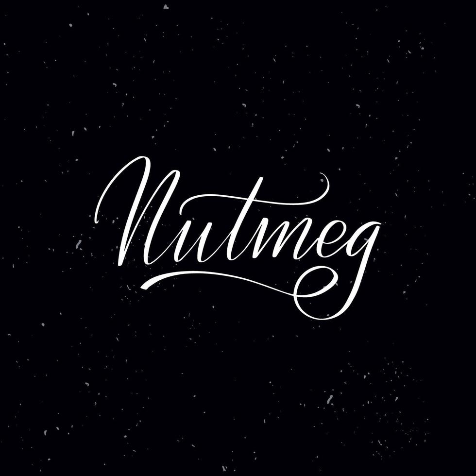 Chalkboard blackboard lettering Nutmeg. Handwritten calligraphy text, chalk on a blackboard, vector illustration. Greetings for logotype, badge, icon.