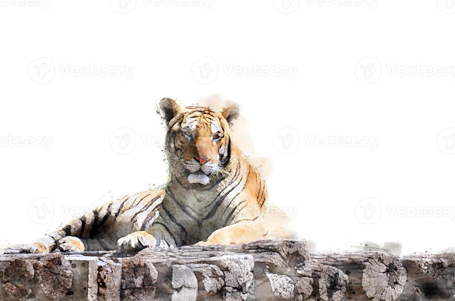 The tiger is lying on a wood log. Watercolor style. Illustration. photo