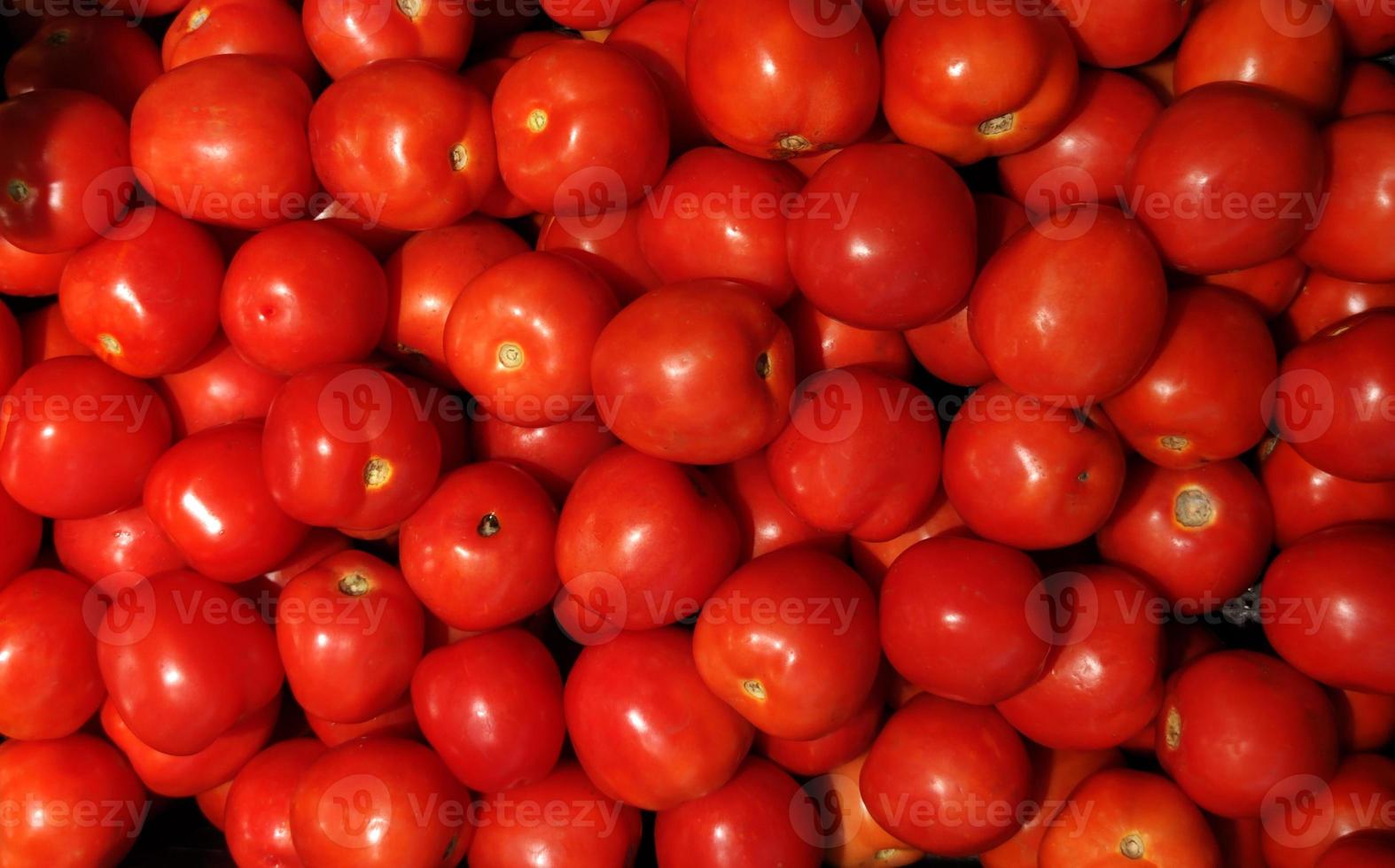 Group of red tomato background texture. photo