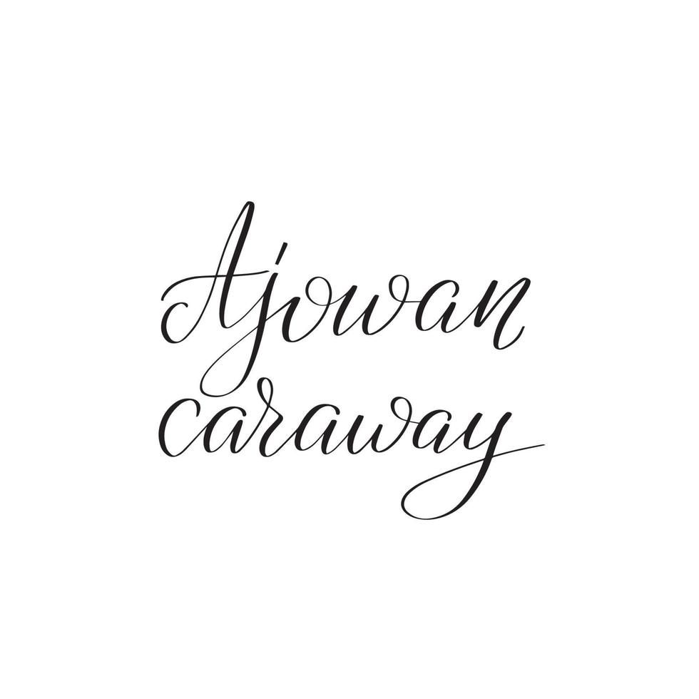 Inspirational handwritten brush lettering ajowan caraway. Vector calligraphy illustration isolated on white background. Typography for banners, badges, postcard, tshirt, prints, posters.