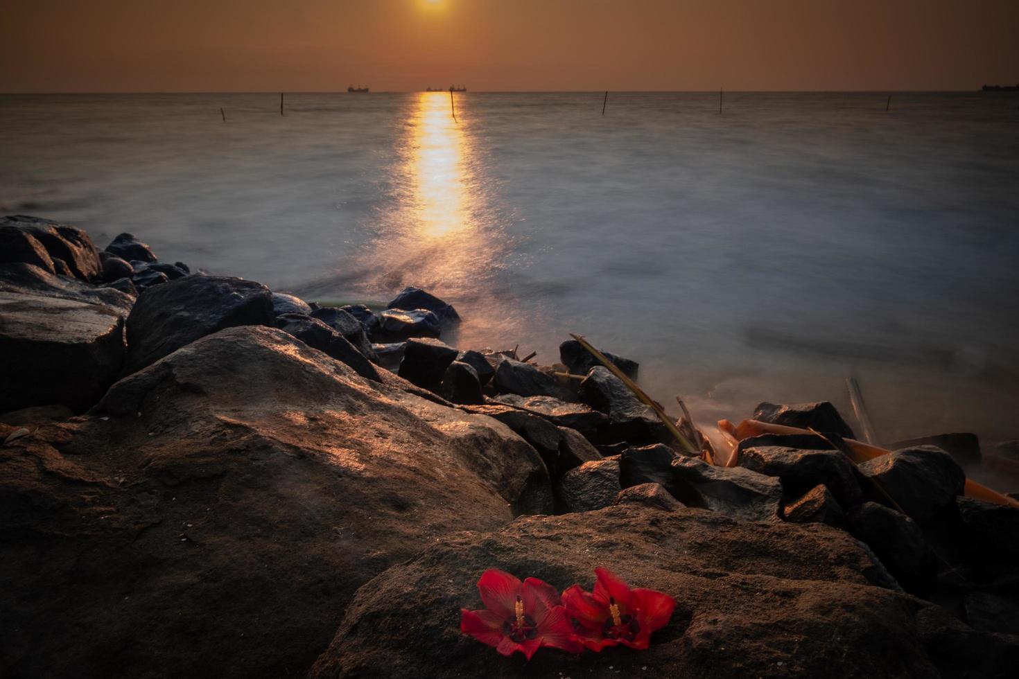 Sunrise with clear sky. Beachside rocks at sunrise photo