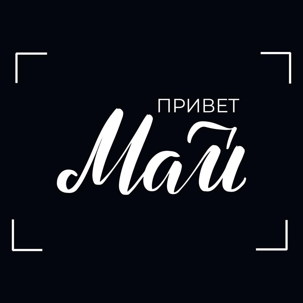 Chalkboard blackboard lettering hello May in Russian. Handwritten calligraphy text, chalk on a blackboard, vector illustration.