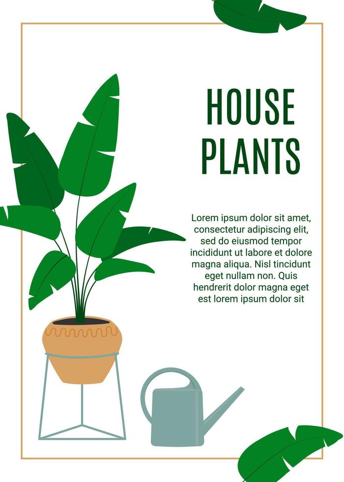 Flyer for houseplants store. Florarium, home garden, greenhouse, gardening, potted plant concept vector