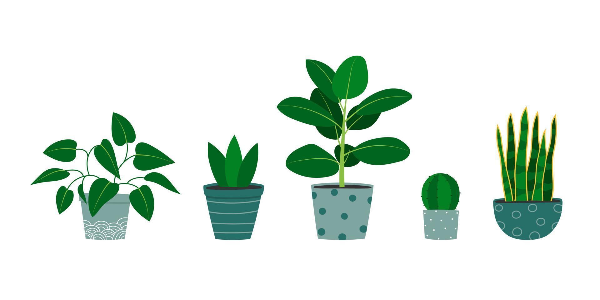 Set of hand drawn houseplants in flowerpots. Pothos plant, cactus, rubber plant, snake plant. vector