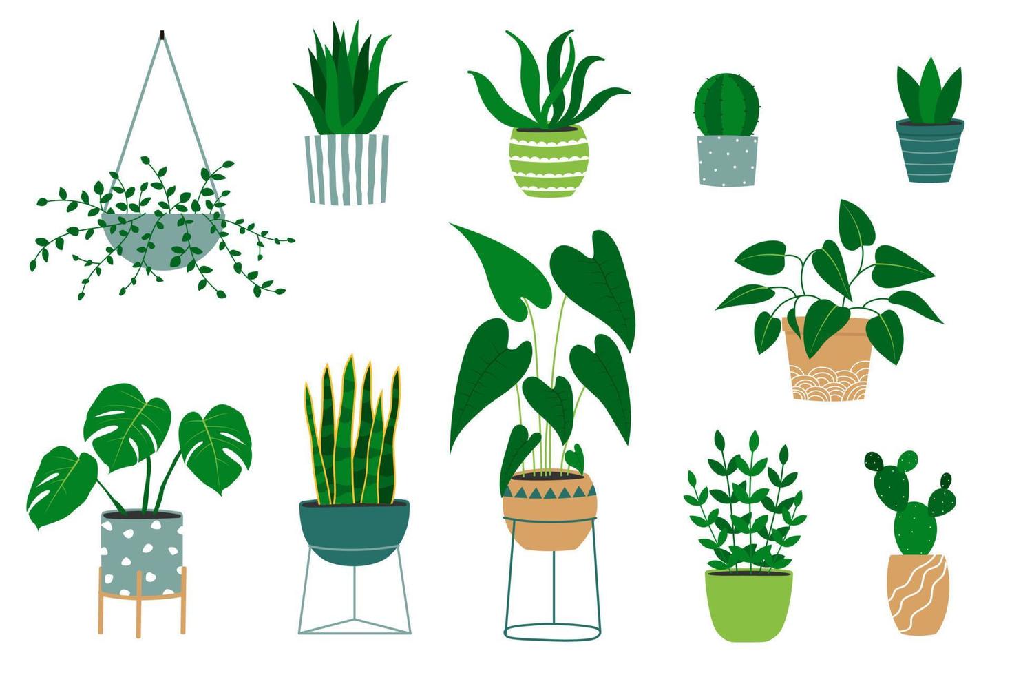 Set of hand drawn houseplants in flowerpots. Alocasia plant, cactus, monstera, jade plant, aloe vector