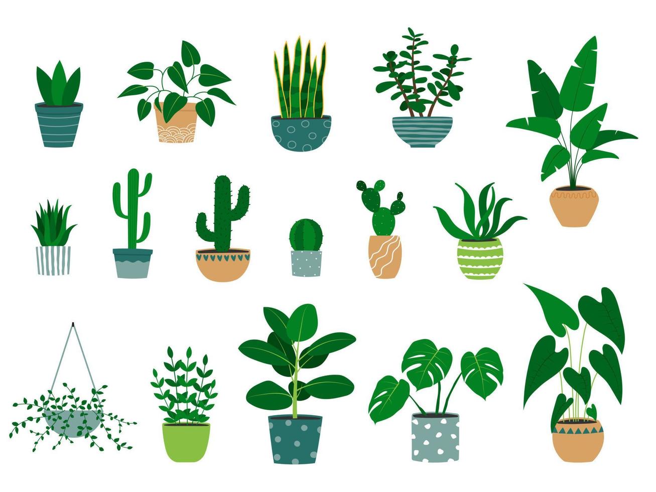 Set of hand drawn houseplants in flowerpots. Alocasia plant, cactus, monstera, jade plant, aloe vector