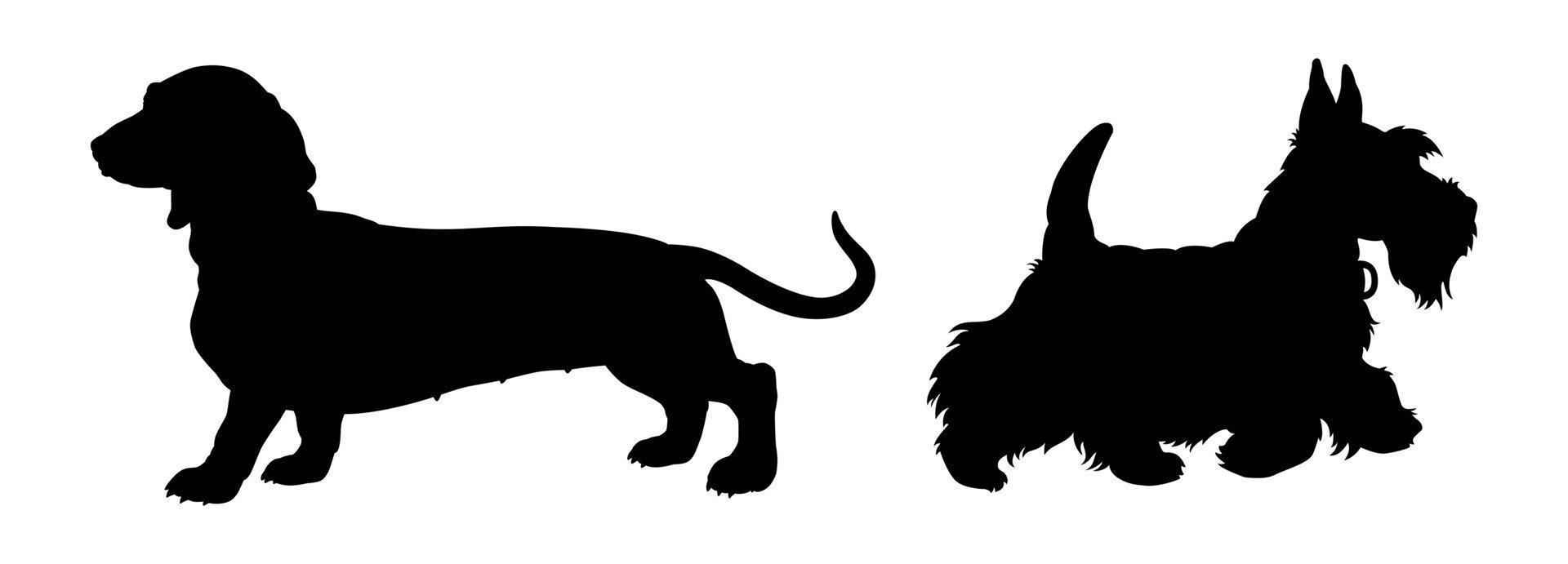 ilustración de razas de perros populares vector