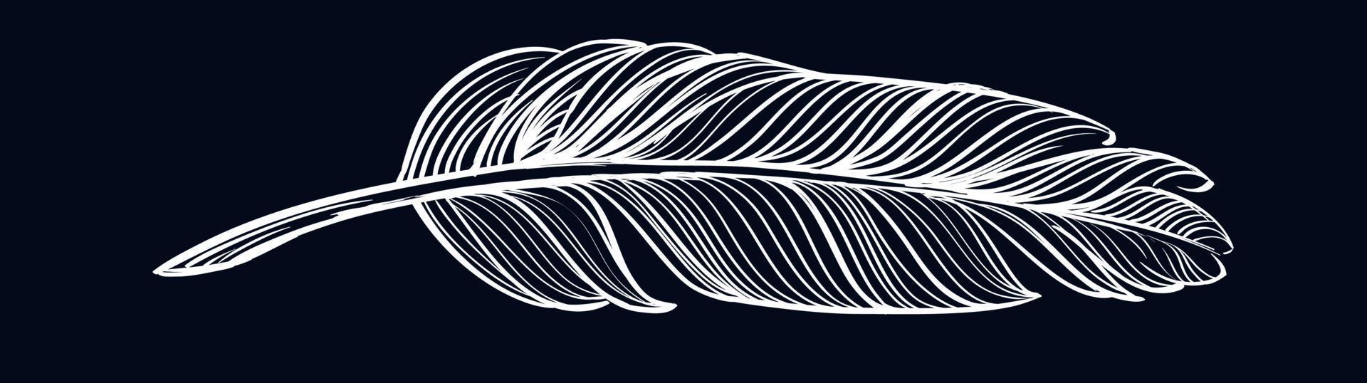 Black Feather Vector Art, Icons, and Graphics for Free Download