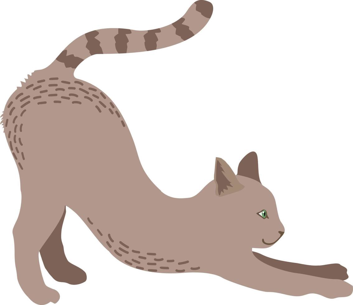 cat stretches, pulls on the floor with its claws, dear pet vector