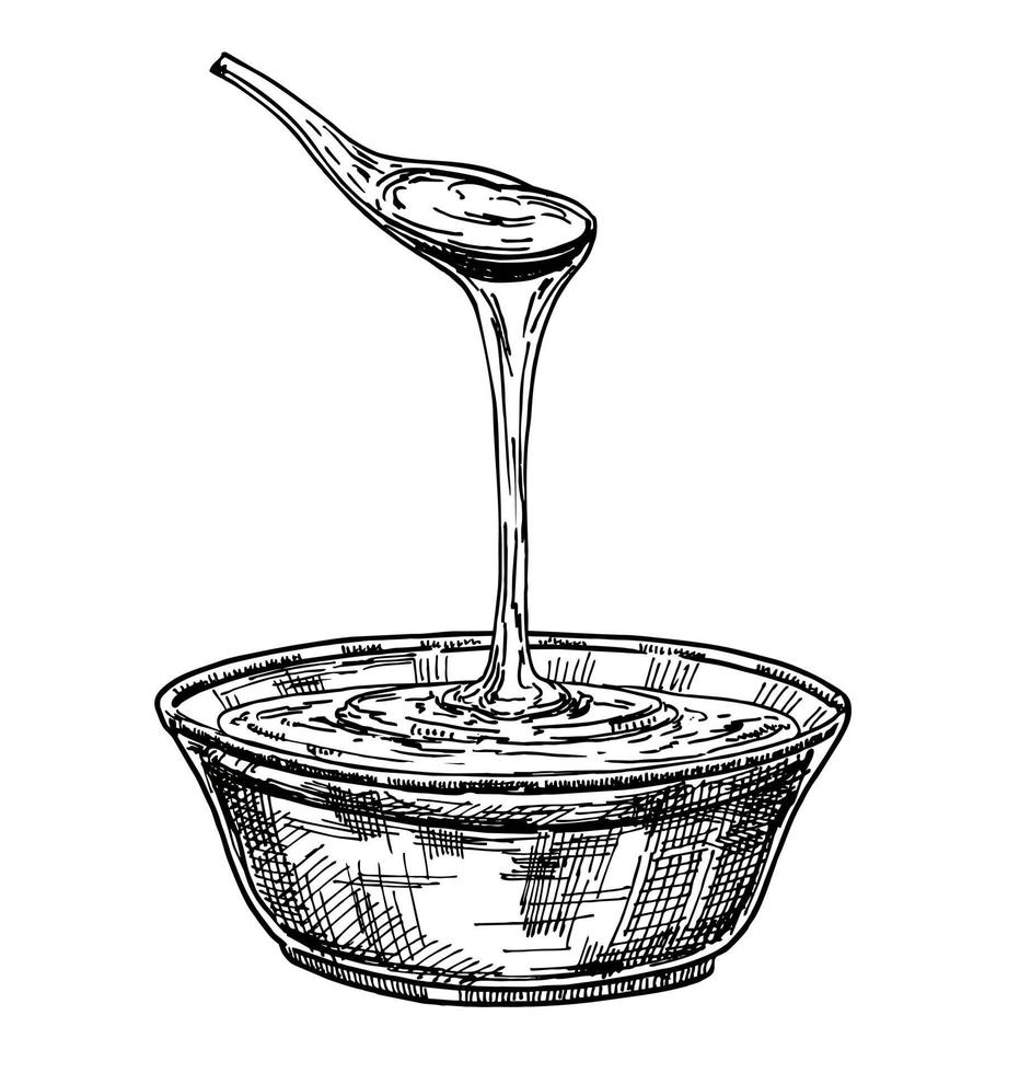 Hand drawn glass plate full of honey Honey dripping from wooden honey dipper vector