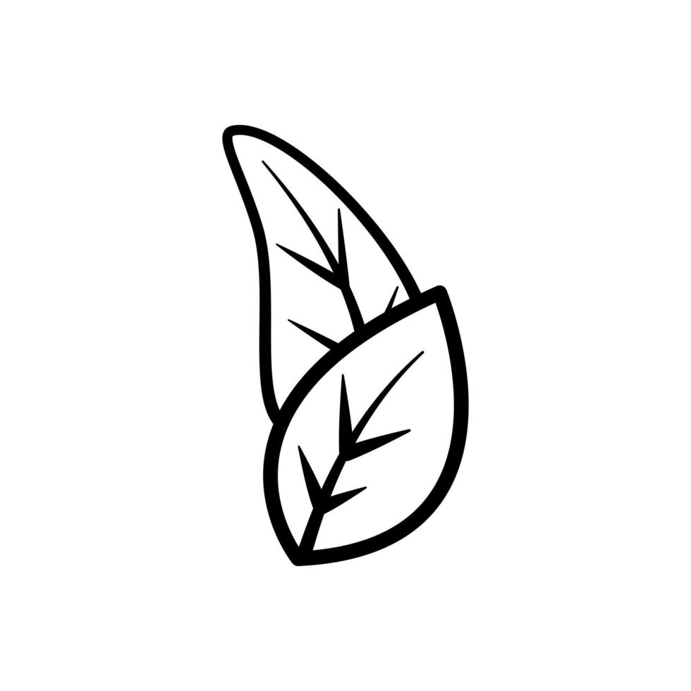 Leaves basic simple line of nature. Vector illustration for decorate logo, text, greeting cards and any design.