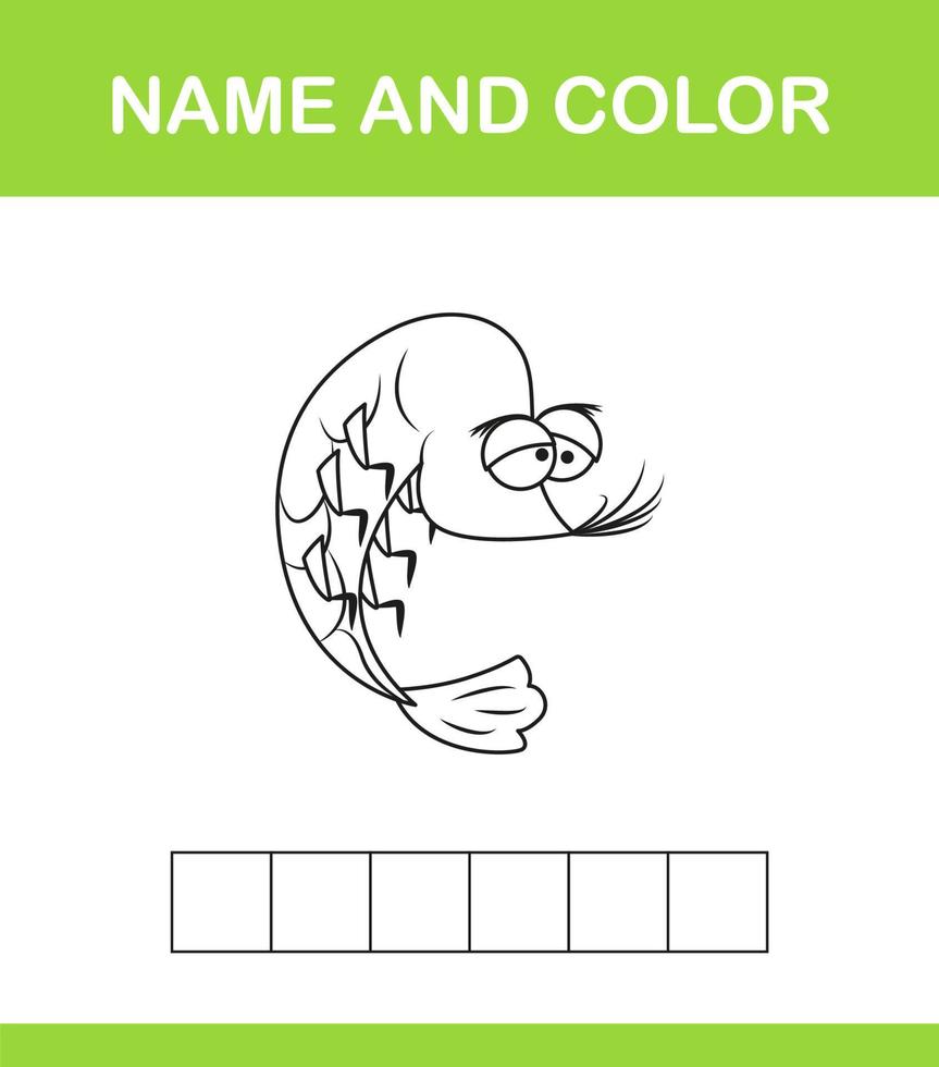 Name and color 11 vector
